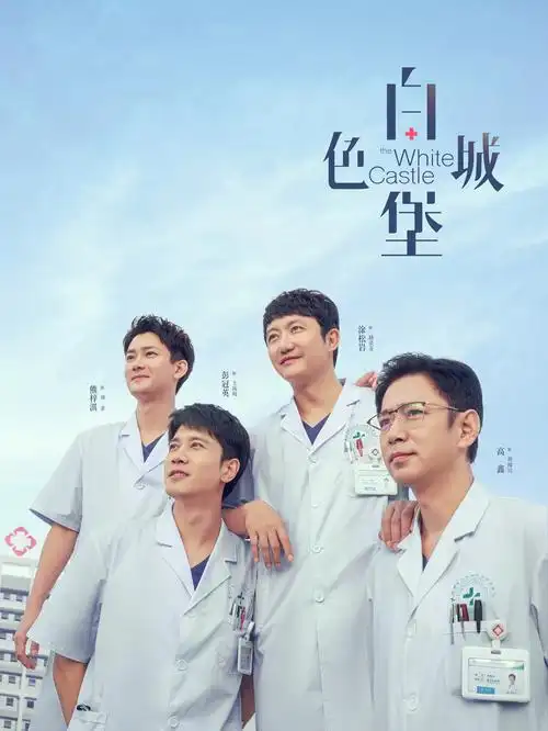 无声证词 中文字幕电视剧全集